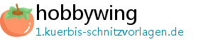 hobbywing