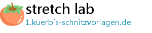 stretch lab